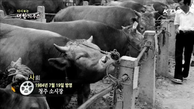 다시보는 대한늬우스 (84 .07.19)