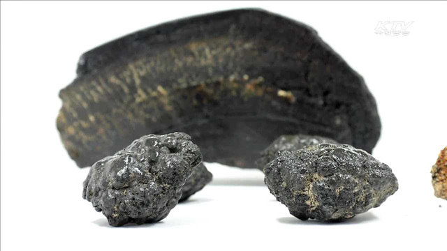 '여의도 350배' 망간각 독점탐사광구 확보