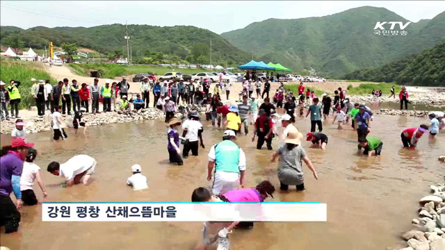 창조농업 행복농촌