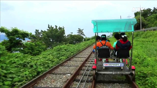 '레일바이크 허용'…상반기 현장규제 100건 개선