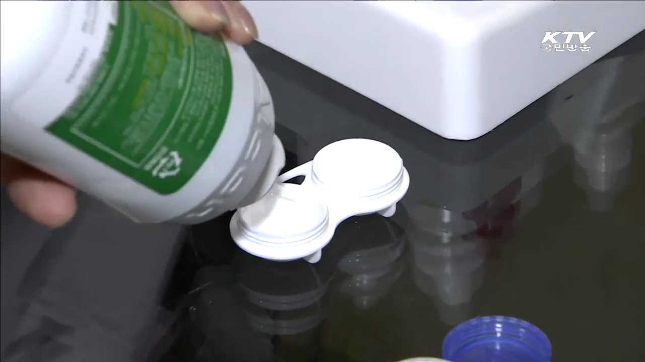 콘택트 렌즈 낀 채 물놀이하면 각막염 위험