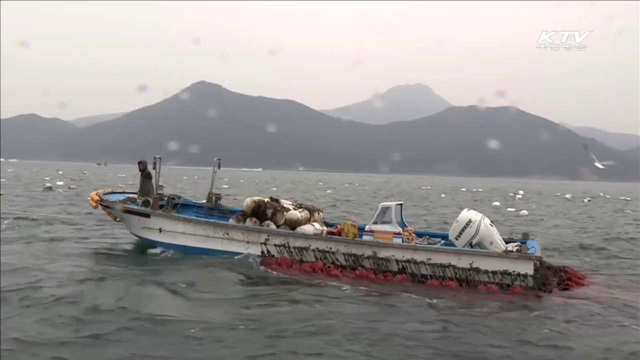 '선상 갈등' 해소한다…외국인 선원 고용·관리 강화