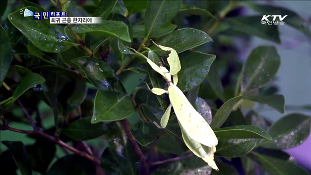 움직이는 작은 보물…미래를 바꾸다