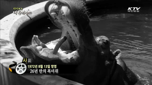 다시보는 대한늬우스 (72.08.13)