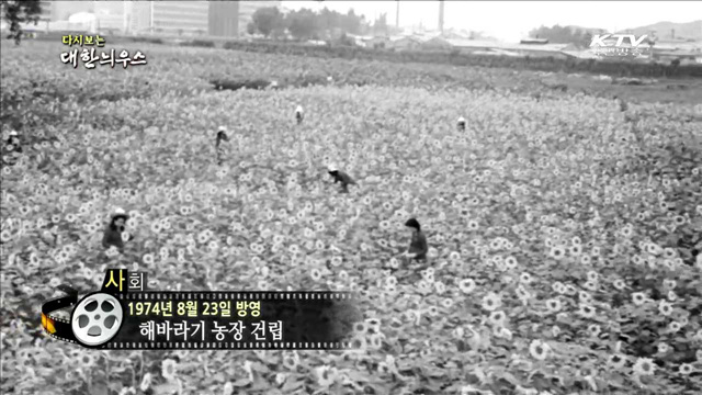 다시보는 대한늬우스 (74.08.23)