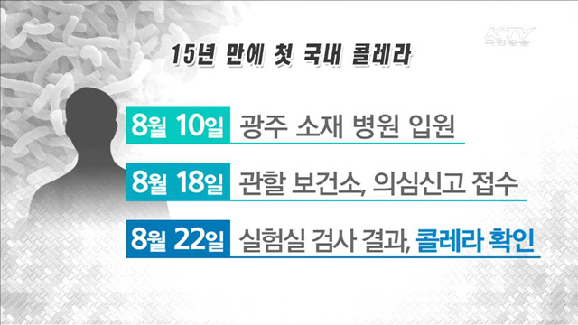 15년 만에 '국내 콜레라' 발생…역학조사 실시
