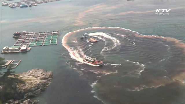 적조 피해 증가…정부 지원 대책 마련