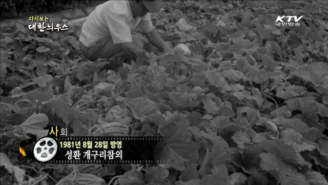 다시보는 대한늬우스 (81.08.28)