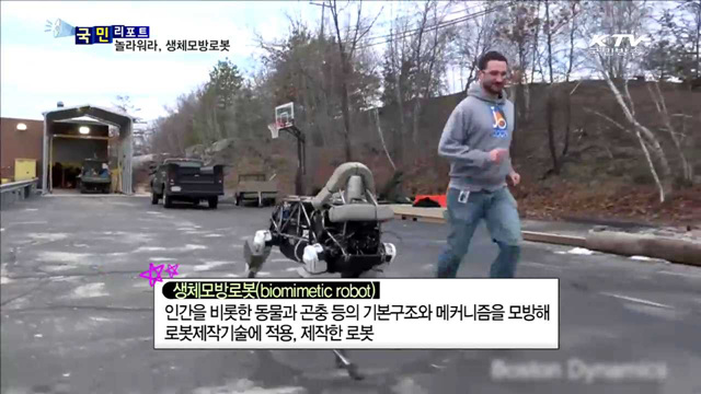 "너 살아있니…?" 생체모방로봇