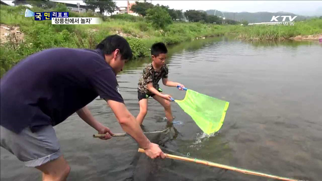 마을의 보물 창릉천…주민 스스로 지켜요