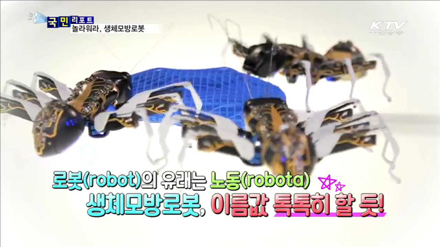 "너 살아있니…?" 생체모방로봇