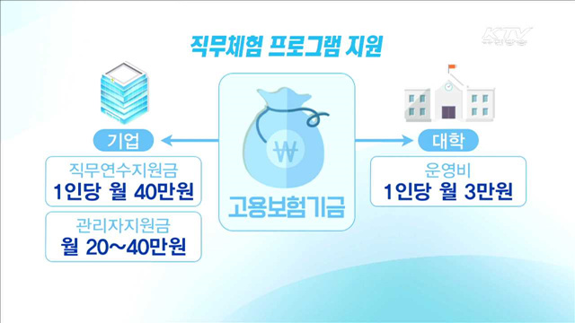 인문·사회계열 대학생 직무체험 지원 늘린다