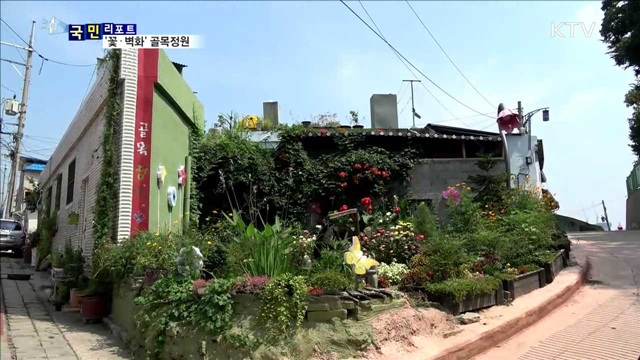 낙후 골목 '꽃과 벽화' 정원으로 변신