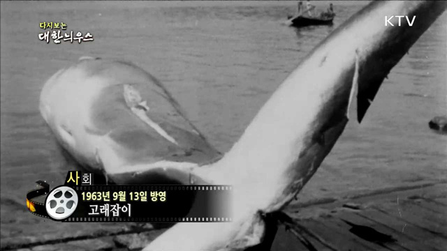 다시보는 대한늬우스(63.09.13)