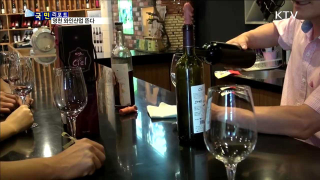 포도 주산단지 영천…와인산업 중심지로 뜬다