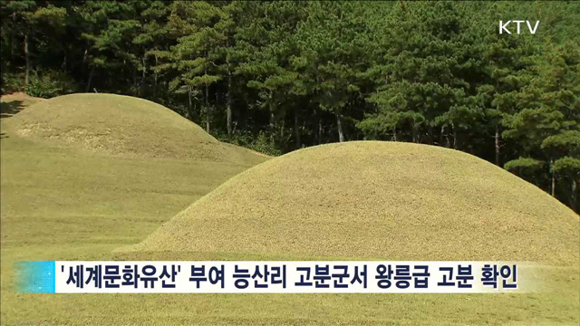 부여 능산리 고분서 '백제 왕릉급 고분' 확인