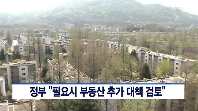 정부 "필요시 부동산 추가 대책 검토"