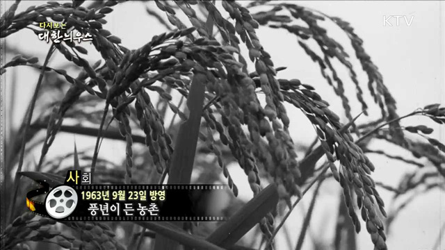 다시보는 대한늬우스 (63.09.23)