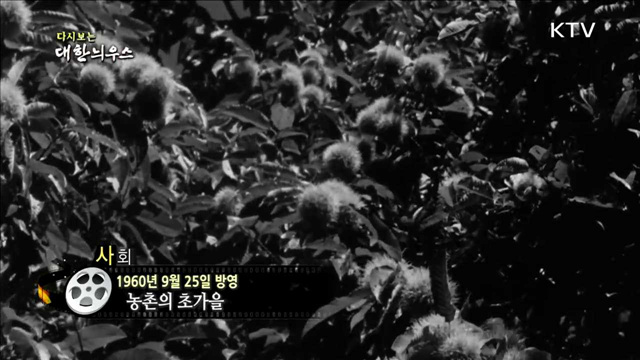 다시보는 대한늬우스 (60.09.25)