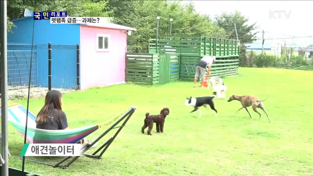 펫팸족 천만 시대…과제는?