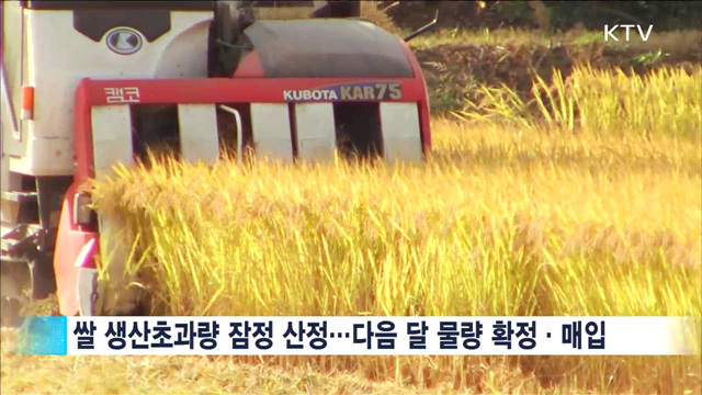 정부, 쌀 '초과생산량' 연내 매입