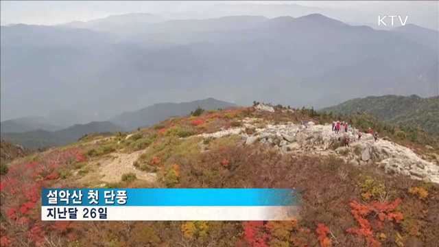 올 가을 '단풍' 설악산 시작…다음 달 초 절정