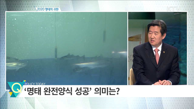 2020 명태의 귀환 [집중 인터뷰]