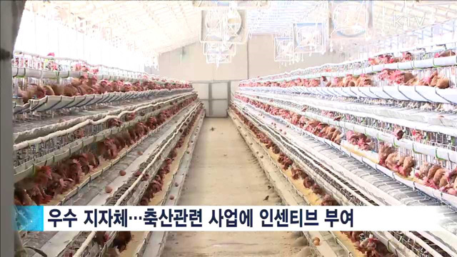 무허가 축사 6만호…2024년까지 3단계 적법화