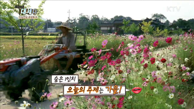 < Back to the 대한늬우스 > 양성평등의 시대 외