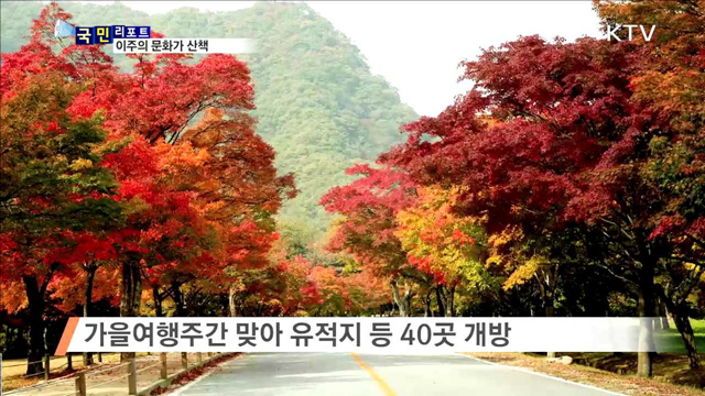 이주의 문화가 산책