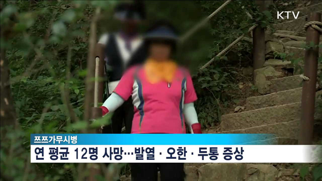 가을 야외활동 '주의보'…감염병 환자 급증