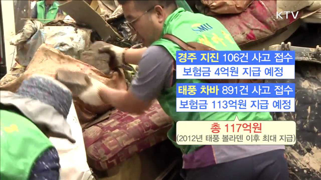 지진·태풍 피해 '풍수해보험' 도움 받으세요