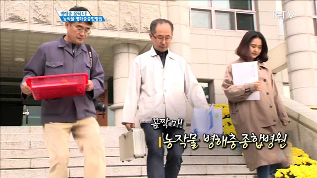 병해충 꼼짝마! 농작물 병해충종합병원