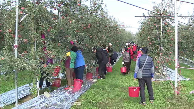'쿠폰'으로 떠나는 알뜰 가을여행