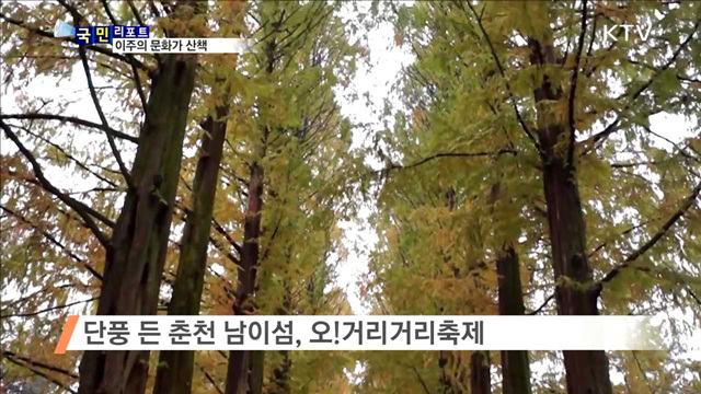 이주의 문화가 산책