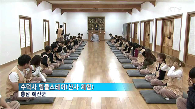 만 원'에 즐기는 알뜰 템플스테이