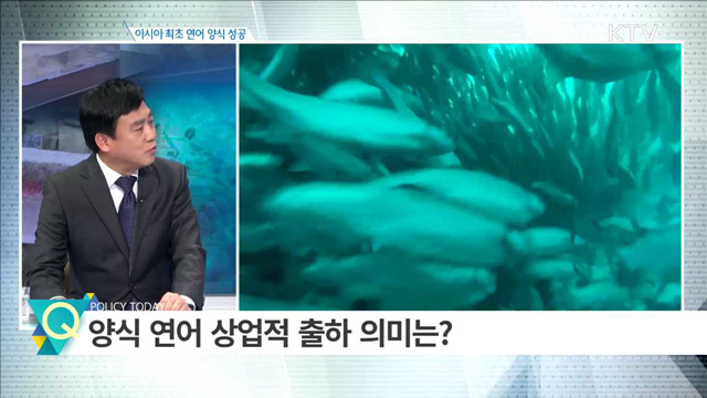 아시아 최초 연어 양식 성공 [집중분석]