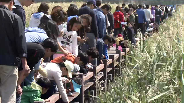 '가을여행주간' 주요 관광지 관람객 9.5% 증가