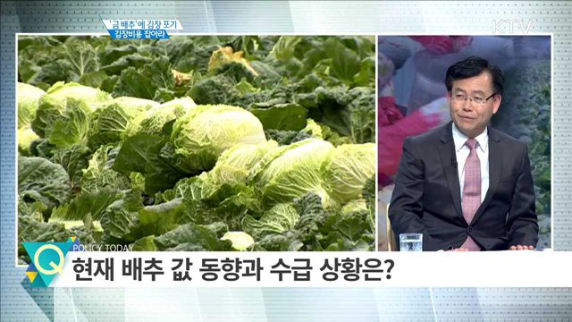 ‘금배추’에 김장 포기 김장비용 잡아라 [경제인사이드]