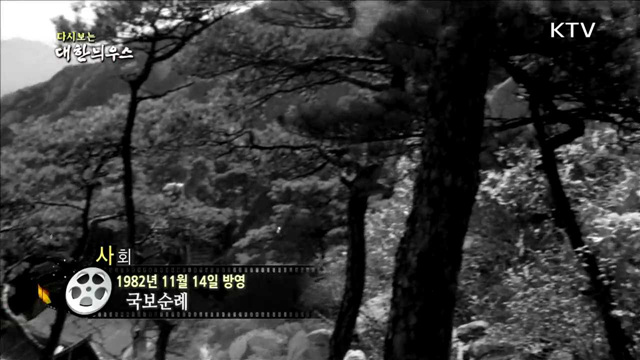 다시보는 대한늬우스 (82.11.14)