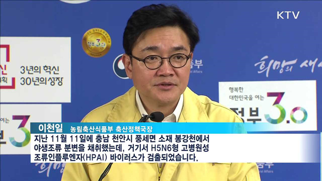 천안 AI 발생…정부, 차단 방역 총력