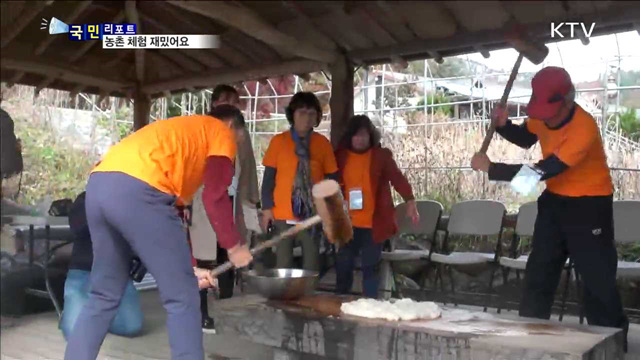 '해피버스데이' 타고 농촌 체험