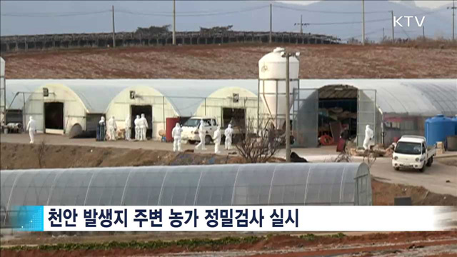 천안 AI 발생…정부, 농가유입 차단 총력
