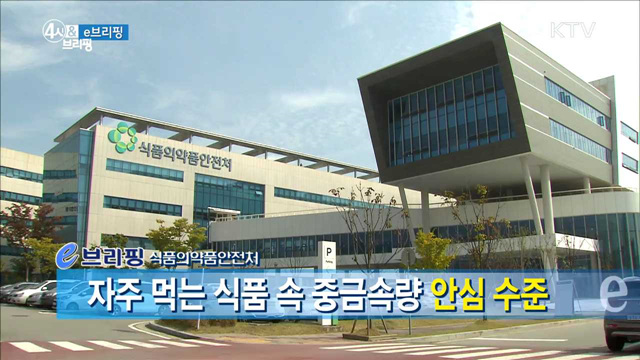 자주 먹는 식품 속 중금속량 안심 수준 [e 브리핑]