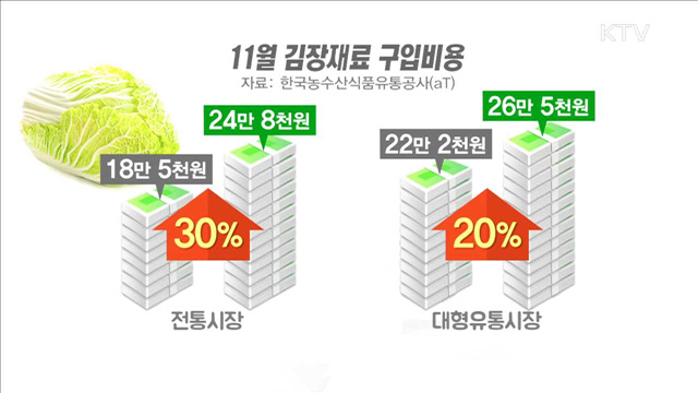 정부 비축 배추 4천 500톤 저렴하게 공급