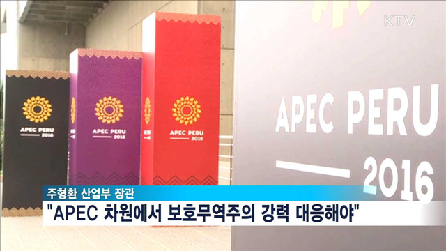 APEC 각료회의…"보호무역주의 강력 대응해야"