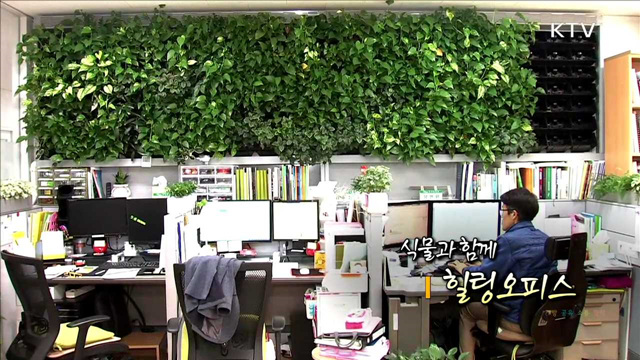 식물과 함께 힐링 오피스
