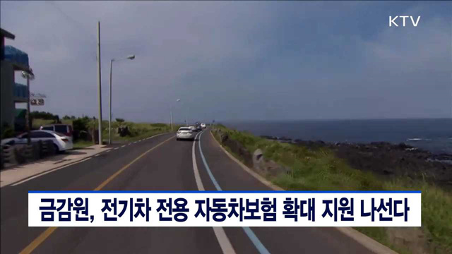 금감원, 전기차 전용 자동차보험 확대 지원 나선다