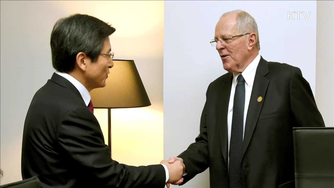 페루 대통령 예방…내일 APEC 정상회의 참석