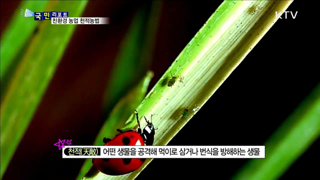 환경과 건강 위하는 천적농법